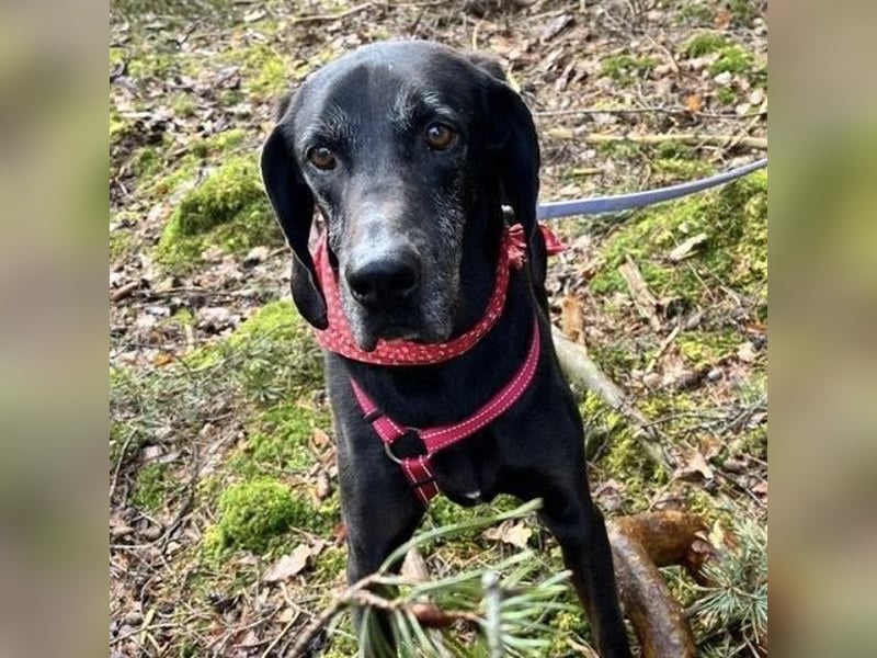 Nero - ein wunderbarer Bub