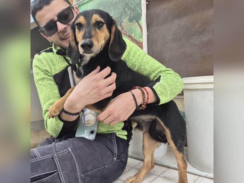 Pippo - kleiner lustiger Bub