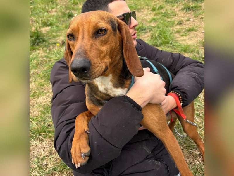 Kinder - ein fröhliche Entdecker, der Kinder, Hunde und Schmusen liebt!