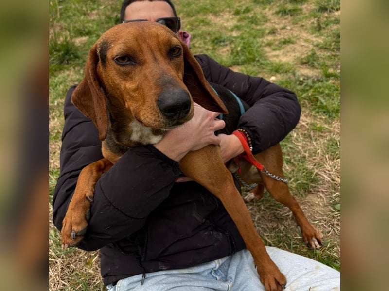 Kinder - ein fröhliche Entdecker, der Kinder, Hunde und Schmusen liebt!