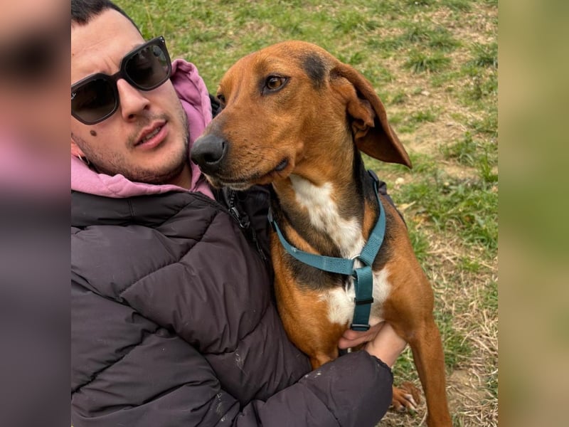 Kinder - ein fröhliche Entdecker, der Kinder, Hunde und Schmusen liebt!