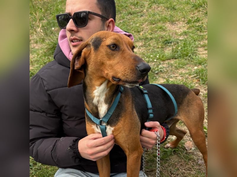 Kinder - ein fröhliche Entdecker, der Kinder, Hunde und Schmusen liebt!