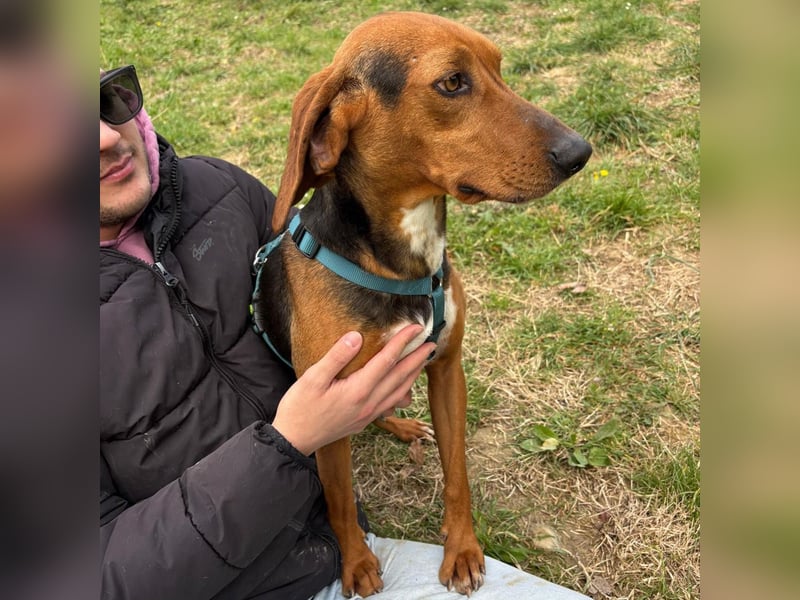 Kinder - ein fröhliche Entdecker, der Kinder, Hunde und Schmusen liebt!