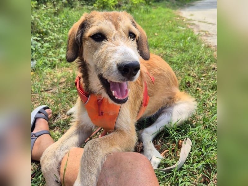 Paolina - kleine Italienerin mit ganz viel Charme