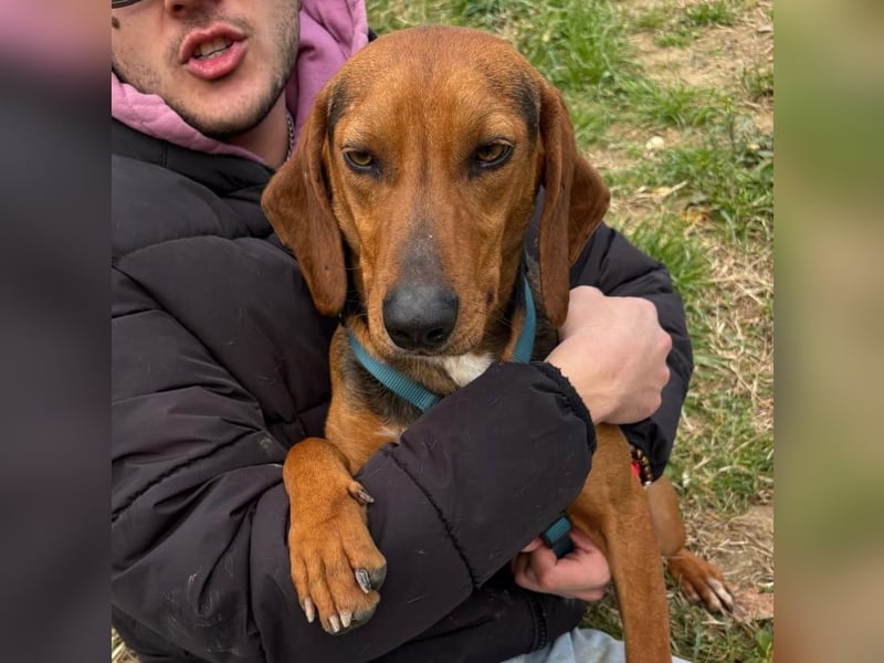 Kinder - ein fröhliche Entdecker, der Kinder, Hunde und Schmusen liebt!