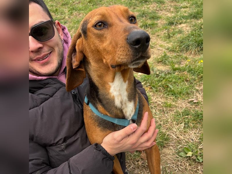 Kinder - ein fröhliche Entdecker, der Kinder, Hunde und Schmusen liebt!