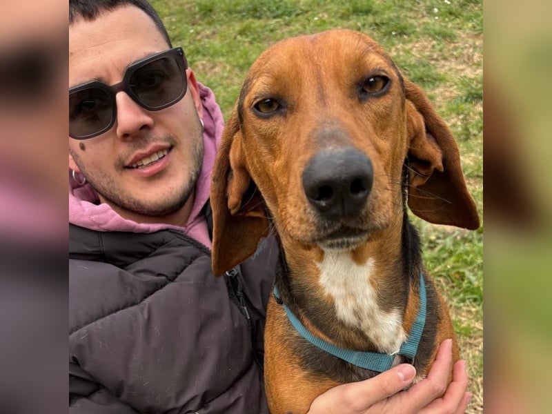 Kinder - ein fröhliche Entdecker, der Kinder, Hunde und Schmusen liebt!