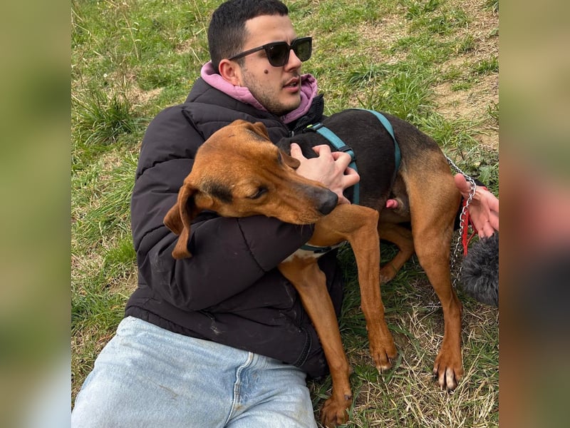 Kinder - ein fröhliche Entdecker, der Kinder, Hunde und Schmusen liebt!