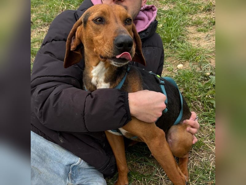 Kinder - ein fröhliche Entdecker, der Kinder, Hunde und Schmusen liebt!