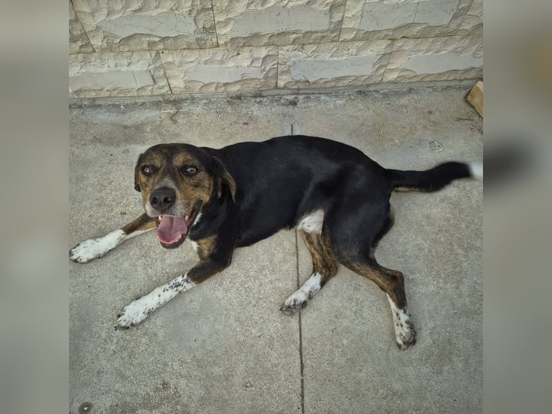 Arturo - junger Gutelaune-Bub