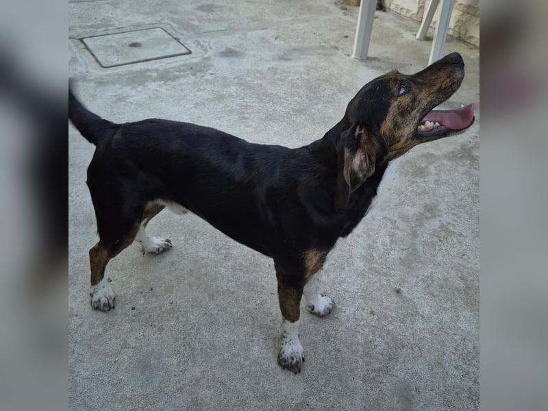Arturo - junger Gutelaune-Bub