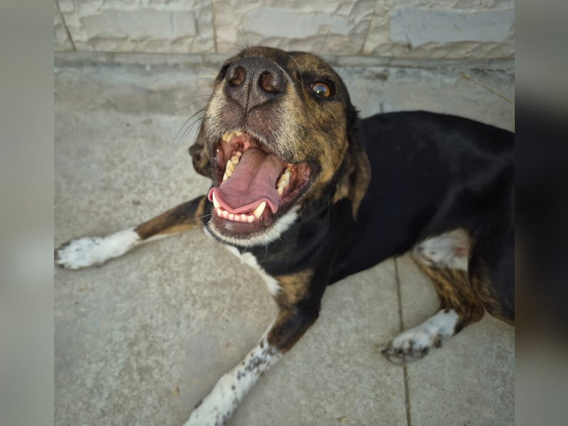 Arturo - junger Gutelaune-Bub