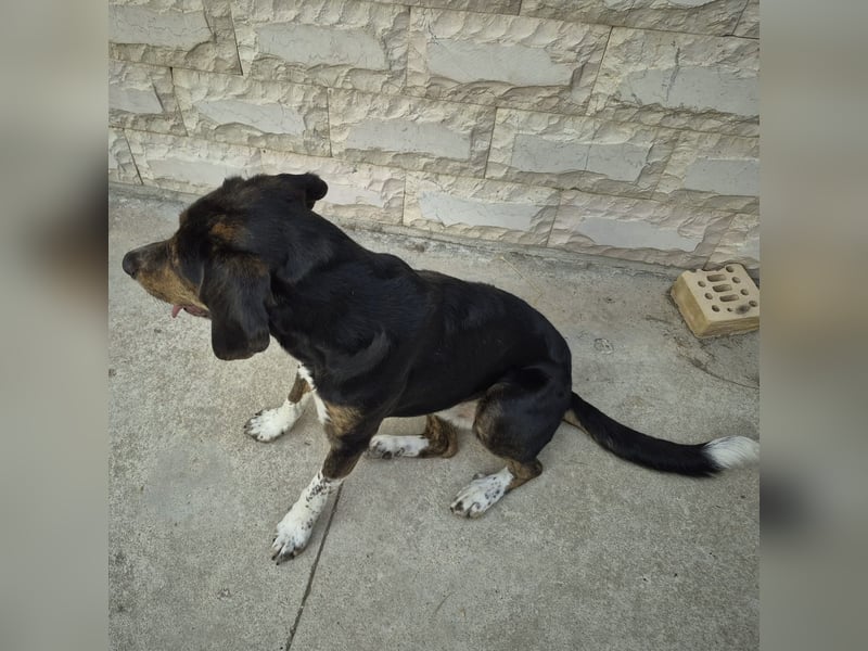 Arturo - junger Gutelaune-Bub
