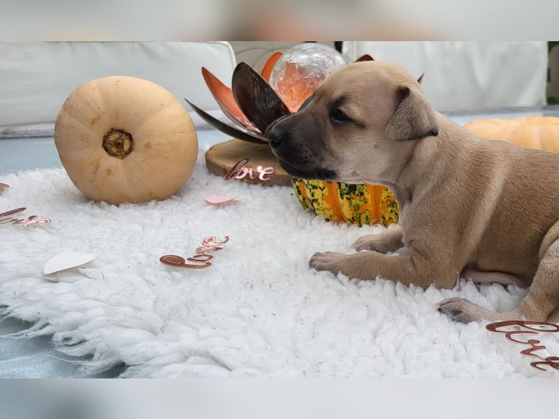 Zwei bezaubernden Mädchen mit Papieren