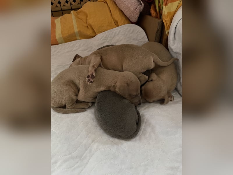 Hunter, Liebe und Glück ♥️