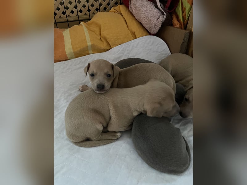 Holly, Glück und Liebe♥️