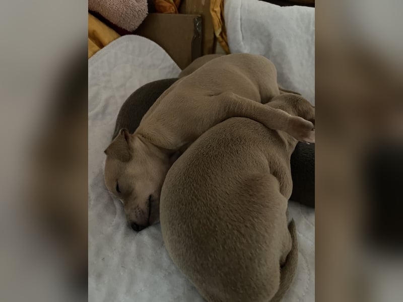 Hunter, Liebe und Glück ♥️