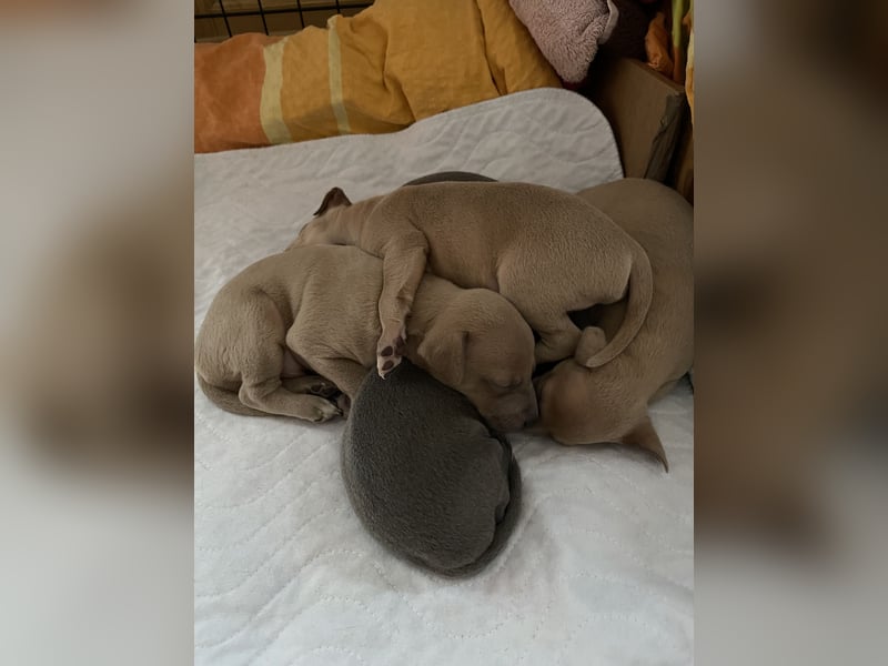 Hunter, Liebe und Glück ♥️