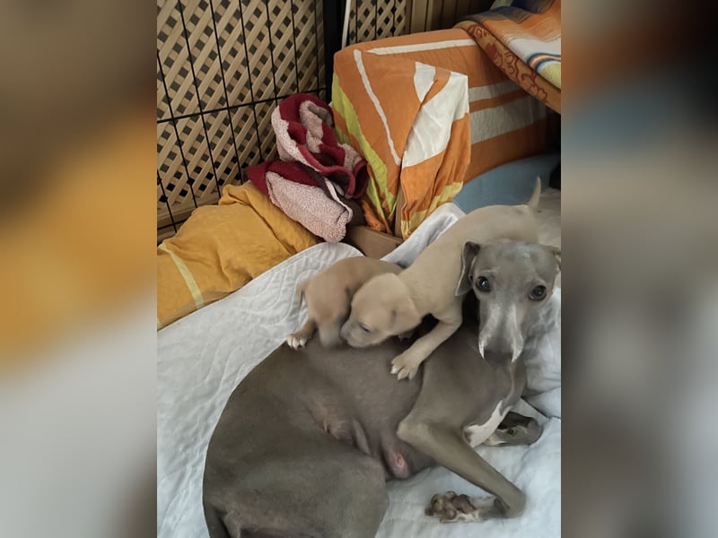 Hunter, Liebe und Glück ♥️