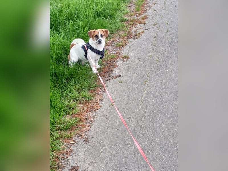 Izzy sucht ihre Familie!