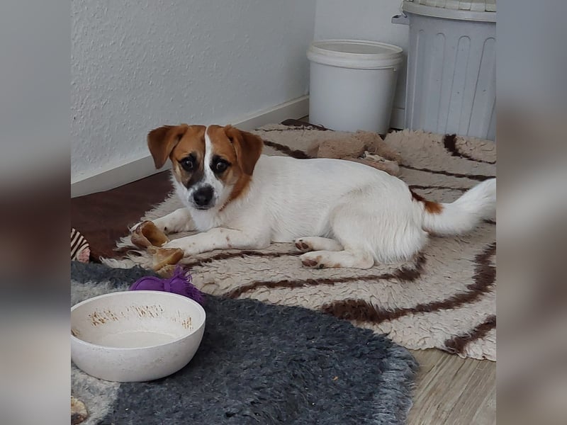 Izzy sucht ihre Familie!