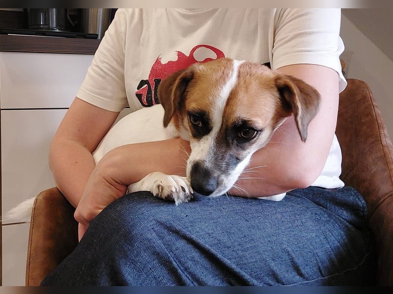 Izzy sucht ihre Familie!