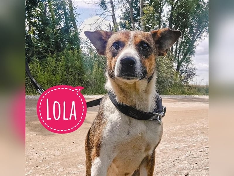 Lola eine wundervolle Hündin