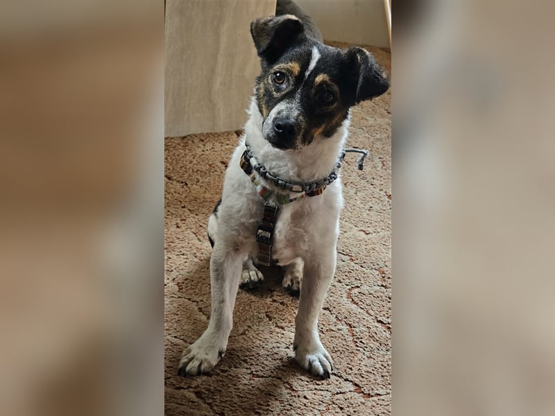 Kleine Cara freut sich auf Deinen Besuch