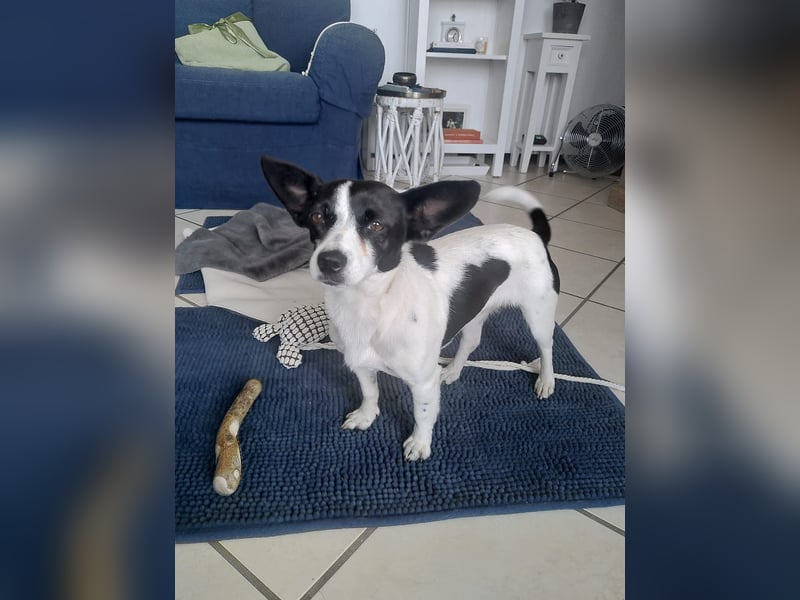 Tilda