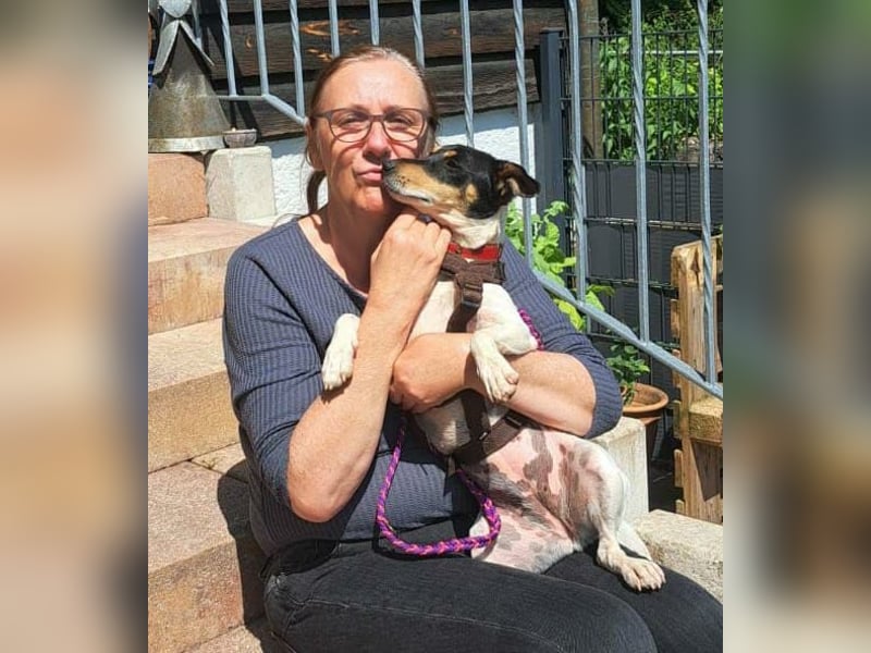 Anhängliche  Jack Russel Hündin PIXIE wartet in Friesenhagen auf Deinen Besuch!