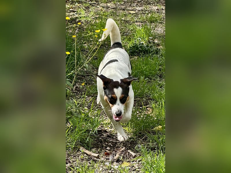 Lucilla - Sportliche Zuckerschnute sucht ihre(n) Lieblingsmenschen