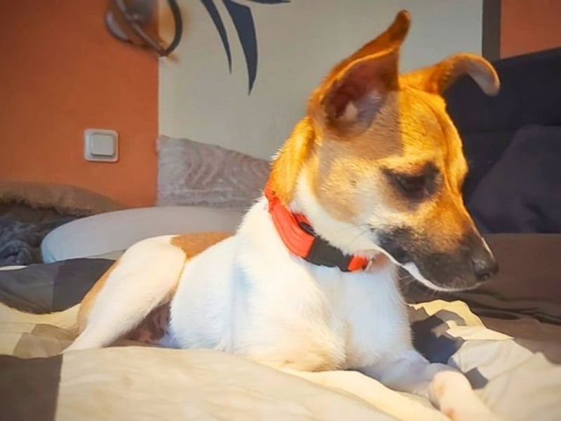 Nikka - pst?! Hier kommt ein Geheim?Tipp!