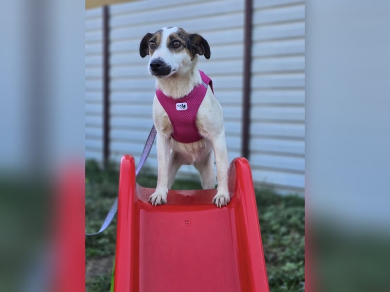 Cinga❤️