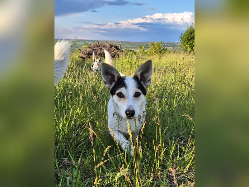 Mara und Max wünschen sich ein neues Zuhause