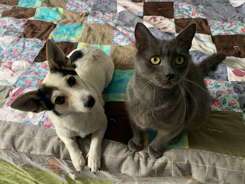 Mara und Max wünschen sich ein neues Zuhause
