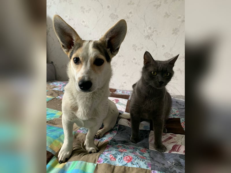 Mara und Max wünschen sich ein neues Zuhause
