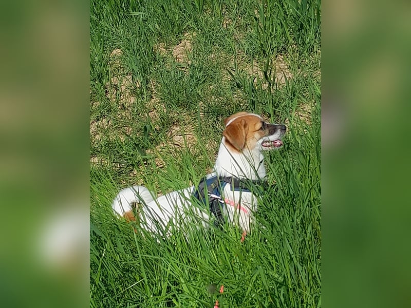 Lustige MONA sucht eine liebevolle Familie