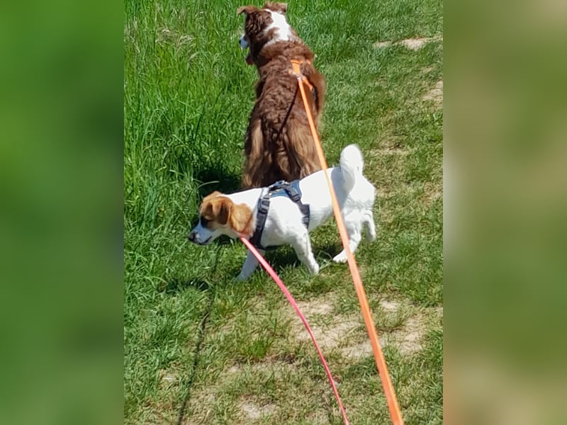 Lustige MONA sucht eine liebevolle Familie