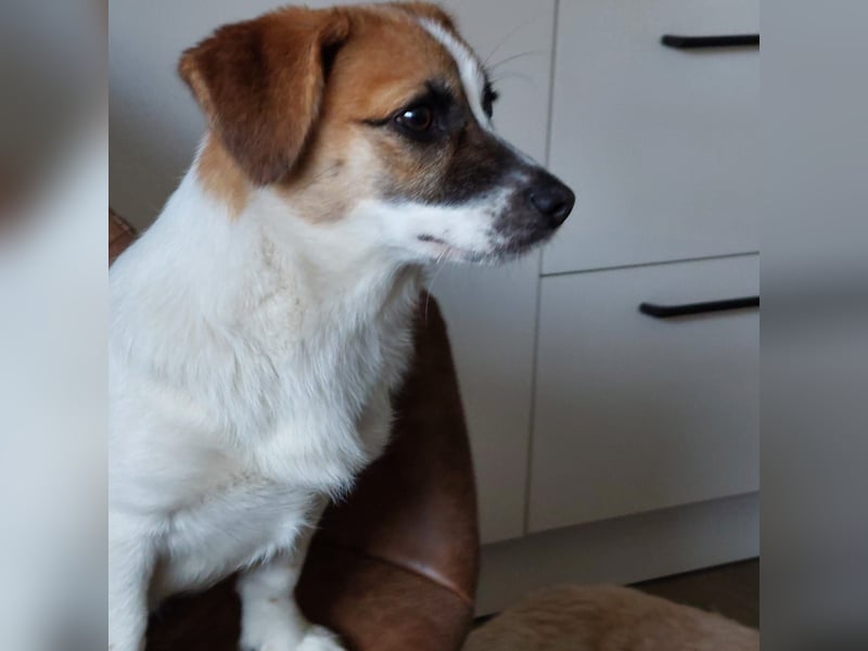 Lustige MONA sucht eine liebevolle Familie