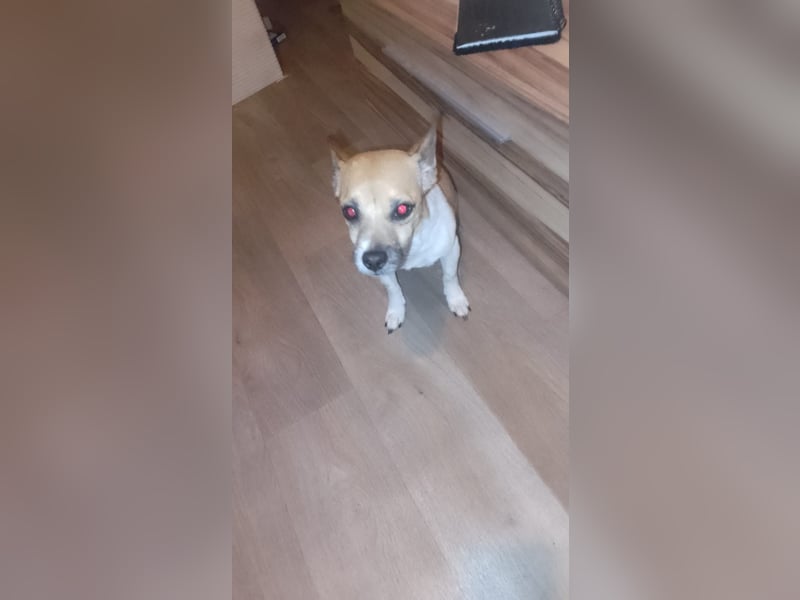 Schweren Herzens abzugeben