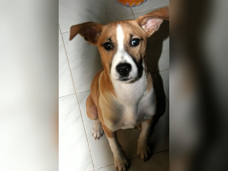 Paolo: Lebensfreude pur