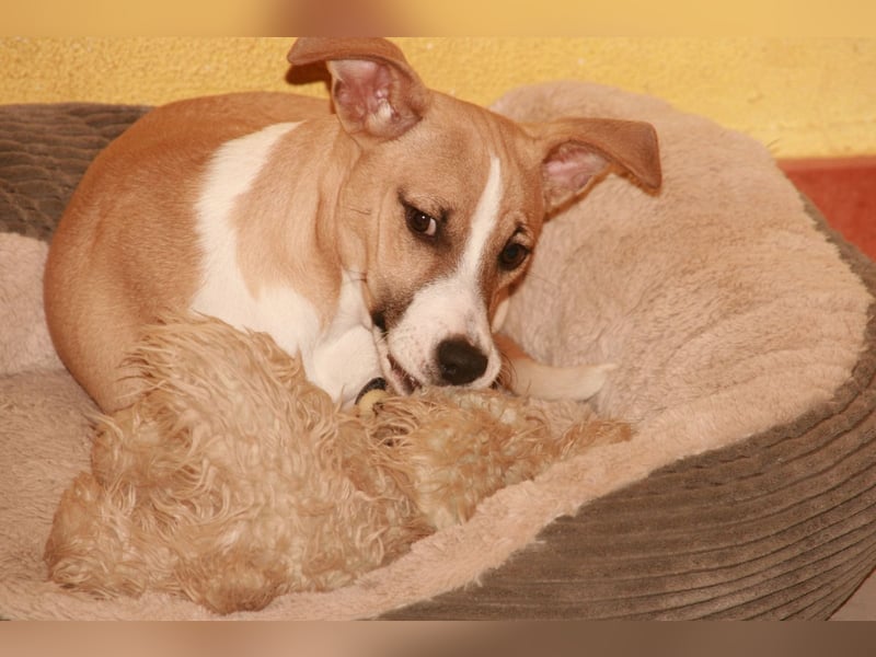 Paolo: Lebensfreude pur