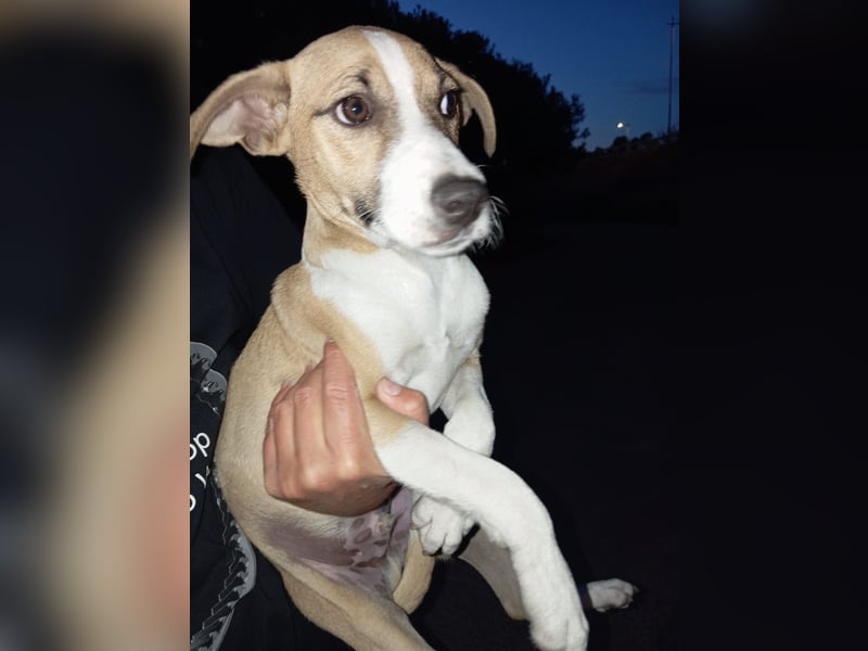 Paolo: Lebensfreude pur