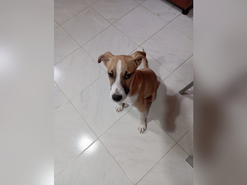 Paolo: Lebensfreude pur