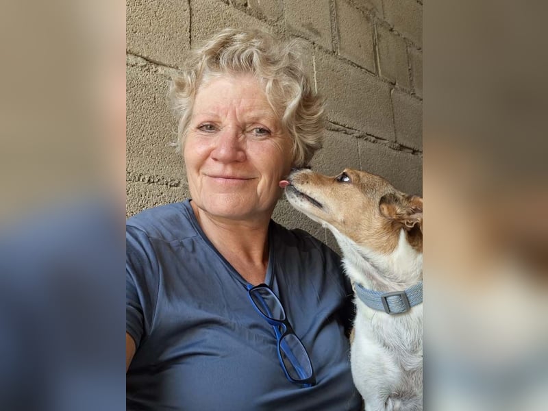 ROCKY- menschenbezogen und behütet war sein Leben, jetzt auf der Suche nach neuer Familie