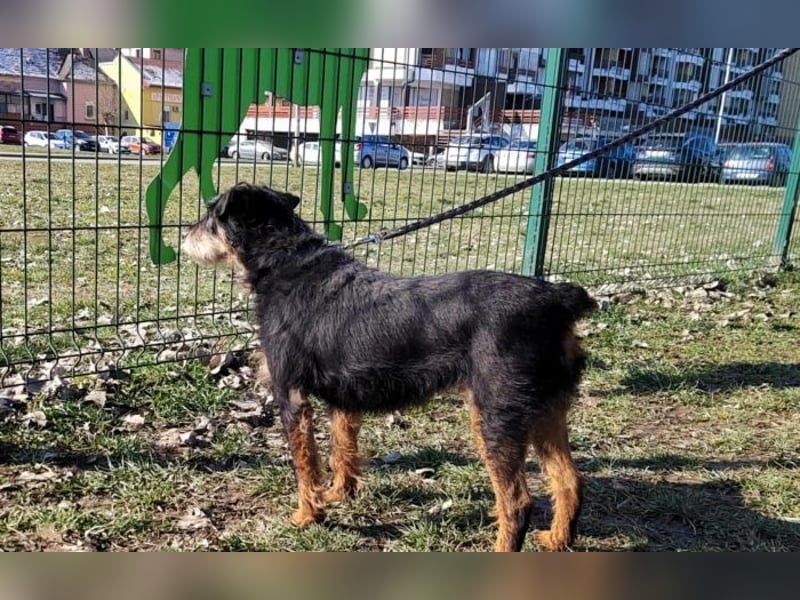 menschenbezogene Nelly