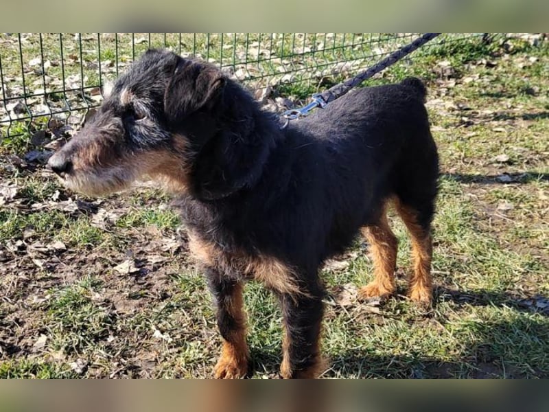 menschenbezogene Nelly