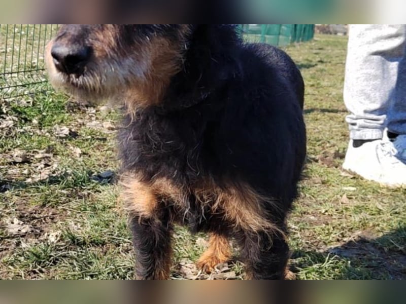 menschenbezogene Nelly