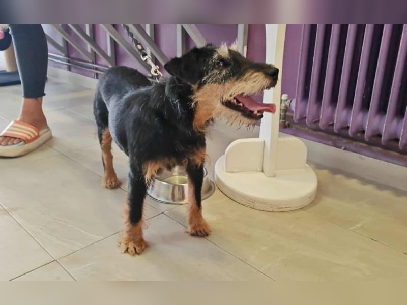 menschenbezogene Nelly