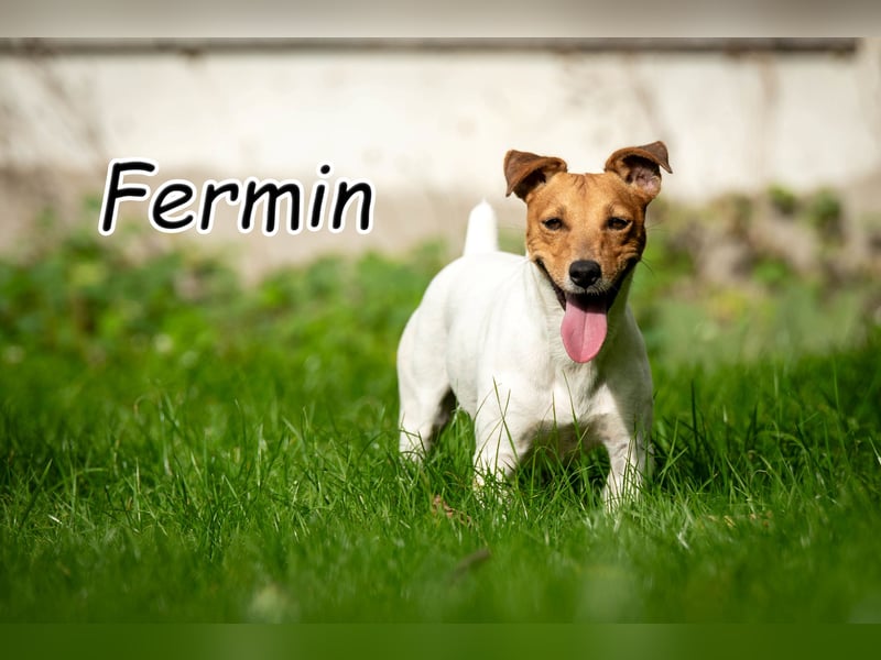 Wollen Sie Fermin kennenlernen?